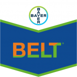 BELT 480 SC