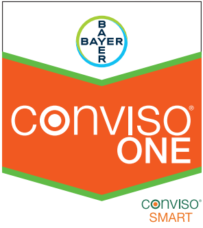 CONVISO ONE OD80