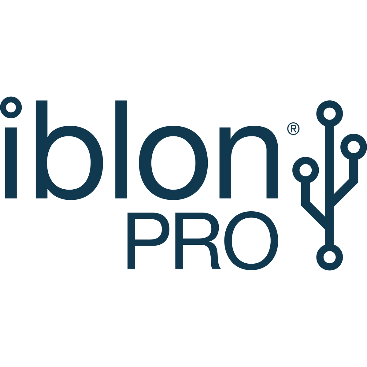 IBLON PRO