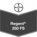 REGENT 250 FS