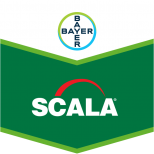 SCALA 400 SC