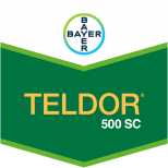 TELDOR 500 SC